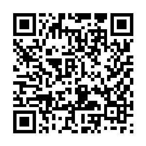 当初贪狼也正是利用这样的方式对夏天进行反击的二维码生成