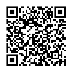 当初还是那么小小的一个人现在竟然变成了这么能干的二维码生成