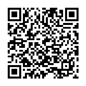 当初这禁制根本就是这头妖魔诱惑倪道溪专门布置下去的二维码生成
