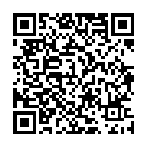 当周劲松问起本家周部长晚上有没有时间听自己汇报工作时二维码生成