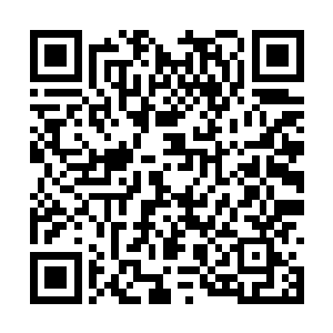 当夜染和清越南看到一双失去了光泽的金色眸子时二维码生成