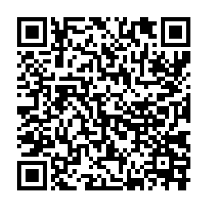 当天龙集团的一干董事们在会议室中一边议论一边等待赵紫薇的到来时二维码生成