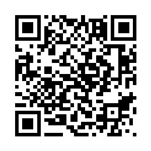 当孙子轩又拿出来一块蜂窝煤一样二维码生成