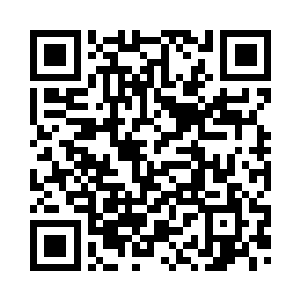 当年不是灭了大夏国数十万大军吗二维码生成