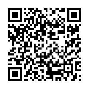 当年他留下密信说五年后魔夭儿还忘不了他的话就不负她二维码生成