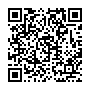 当年你们承蒙师傅的教导我们才慢慢的开始学习武技和魔法二维码生成
