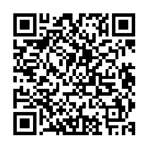 当杨晨和张冰玉筹划着建立一个惠及整个玄学界的基金会之时二维码生成