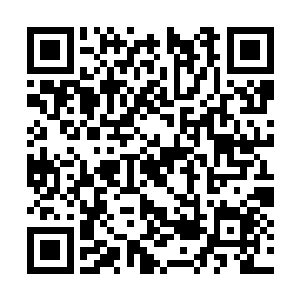 当洛天祈牵着裴心来到一片杨柳依依的湖畔的时候二维码生成