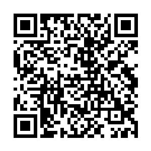 当然了……人家辞去公职只不过是为了应付上面的检查二维码生成