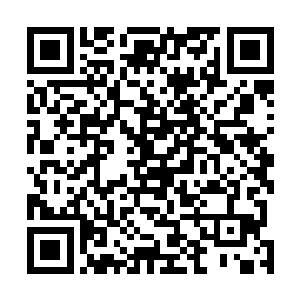 当然了……就算宋无奇从一个准一流高手变成了一流高手二维码生成