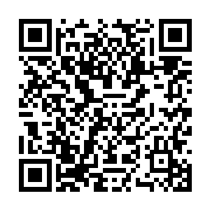 当然了说是韩裔其实这个韩国吴一点儿棒语都不会二维码生成