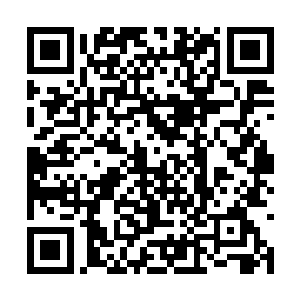 当然这一切对于在长天峰内苦修的徐天涯并不知晓二维码生成