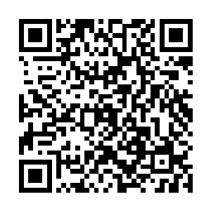 当然这也是因为这个世上如此热情奔放的人实在是一类二维码生成