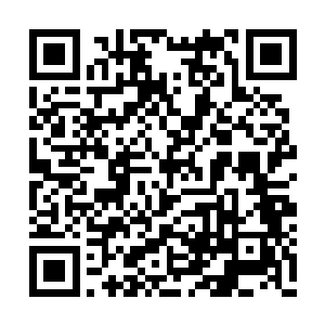 当这个普米看到这个小金龙的时候顿时就惊住了二维码生成
