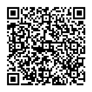 当这次东京代表团最优秀的代表学院樱井玲香身着一身华丽的紫色服饰出现在大礼堂时二维码生成