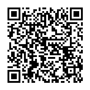当那只圣级大圆满混沌兽的第一掌实实在在地轰击在许紫烟的身上之时二维码生成