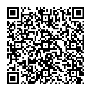 当陆为民得到地委已经悄无声息的成立了以地委副书记王舟山为组长的联络协调工作小组时二维码生成