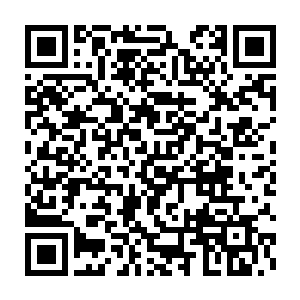 影厅里又传来了略带遗憾的轻笑声――现在观众们已经完全入戏了二维码生成