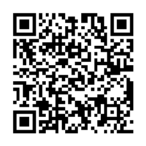 往常拿了赏钱就会欢天喜地离开的小狗子今次却很异常二维码生成
