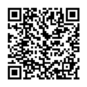 往往会将脑细胞活跃度提升到普通人的十倍以上二维码生成