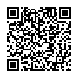 往日一看到他们出现在谷口就会立刻冲过来堵截他们的三族二维码生成