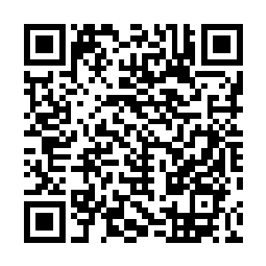 往日里那虽不善良却实实在在地为她提供了屋檐的闻寿宾二维码生成