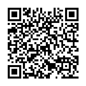 很可能还要冲破蛤蟆比较脆弱的肚皮或者腮帮子跑出来二维码生成