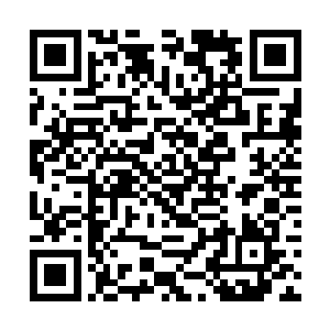 很含蓄的提醒其实在韩国就有不少废旧船只可供购买二维码生成