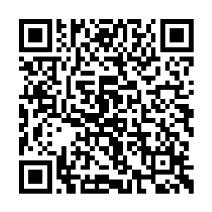 很多人都以为林放是做了什么对不起玫瑰的事情二维码生成