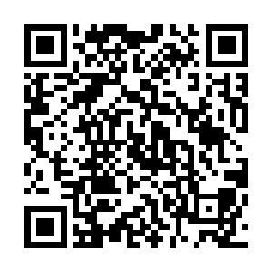 很多从没有用过网络的修士第一次访问了中华玄学门户论坛二维码生成