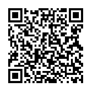 很大原因是萨茹曼也要顾忌圣白议会中精灵王的反应二维码生成