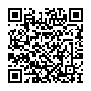 很快大屏幕上就出现了两张头颅核磁共振的成像二维码生成