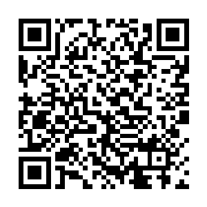 很快就到了江州市第一机械厂门门口果然聚集了上百人二维码生成