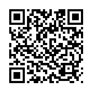 很快的劳伦就开始做起了虎鲸快艇二维码生成