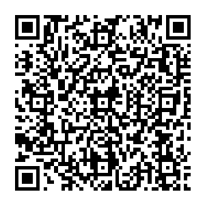 很快那个穿着奇异服饰的老头来到包围圈看了看被江帆和纳甲土尸撂倒的六七十族人眉头皱起二维码生成