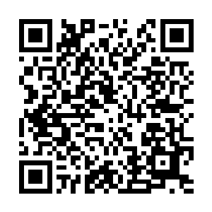 很想去皇家图书馆找点儿奇功绝艺出来修炼一番呢二维码生成