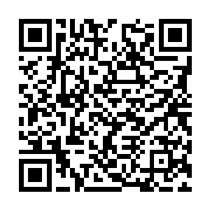 很造化青莲的价格也是很突破了200万的恐怖的水平二维码生成