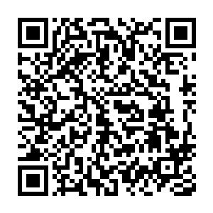 徐娇更是情不自禁的惊呼出声……同时整个人也是化为了一道流光二维码生成