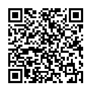 徐骁当年为了朝廷百年盛世大计不惜与整座江湖为敌二维码生成