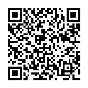 得到秦铮传信的英亲王和英亲王妃以为发生了什么大事儿二维码生成