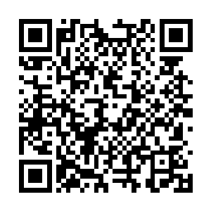 微笑着看着在小树下面兴奋得快要手舞足蹈的张铁二维码生成