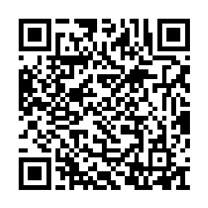 微臣以为当今应该尽快传御医来替李奇诊断伤情二维码生成