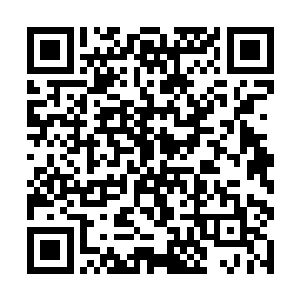 心中惊讶这小师弟还真是一个趣人儿之余大声的喊道二维码生成