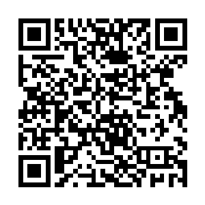 心中的那个疑问也从这一份检查报告里面得到了答案二维码生成