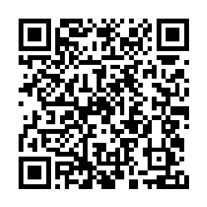 心思真的动了……虽然作为一个老实巴交的农民二维码生成