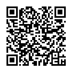 心神已经慌乱的叶飞根本就没有注意到对方攻击了过来二维码生成