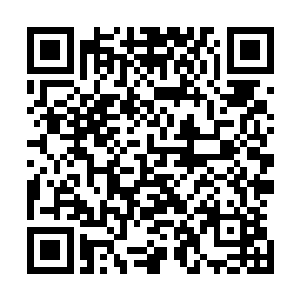 心细的傅采宁在办公室电脑上打开松江本地最大的新闻网站二维码生成