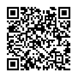 心细的王丽芸也知道了女儿居然和张卫东没圆房过二维码生成