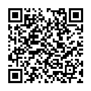 心里倒是觉得鬼二此人并不像他表面一般木讷衷心二维码生成