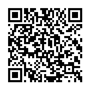 心里却是生出了点敌意――哥们儿期待中的仙界二维码生成